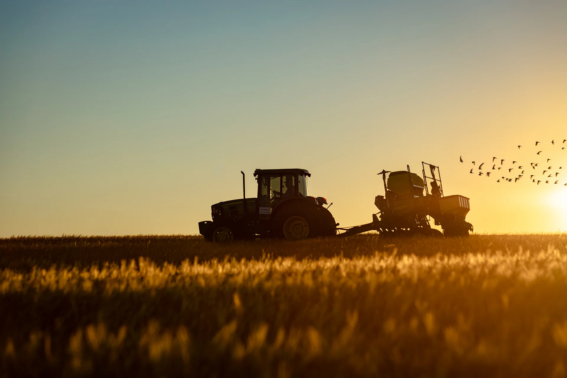 O nosso negócio é Cooperar