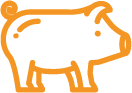 Ícone Suinocultura